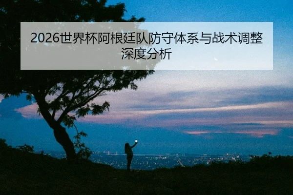 shi-jie-bei-a-gen-ting-dui-fang-shou-ti-xi-yu-zhan-shu-tiao-zheng-shen-du-fen-xi-2-759.jpg
